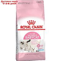 Сухой корм RC Mother and babycat для котят, беременных и лактирующих кошек, 400 г