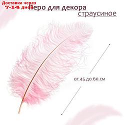 Перо для декора, длина от 45 до 60 см, цвет розовый