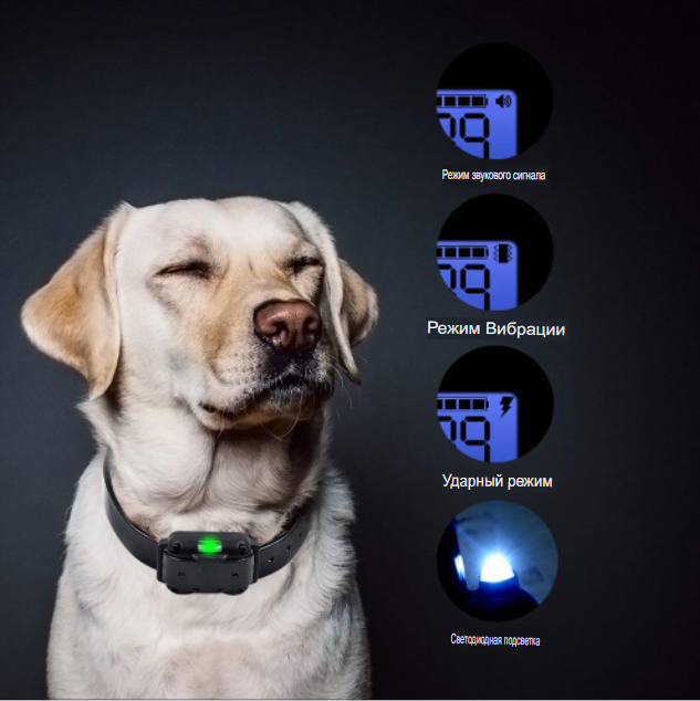 Электроошейник для собак дрессировочный Rechargeable and Waterproof IP67 (до 67 см) 800м. - фото 7 - id-p203005624