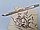 LYRA REMBRANDT Sepia, карандаш художественный, обезжиренный, светло-коричневый, фото 3