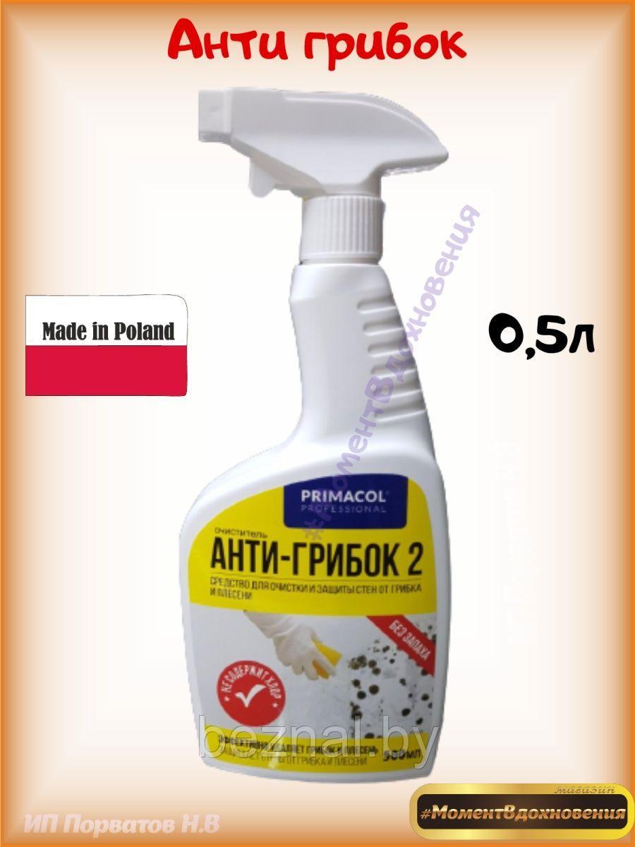 Спрей Антигрибок и Антиплесень