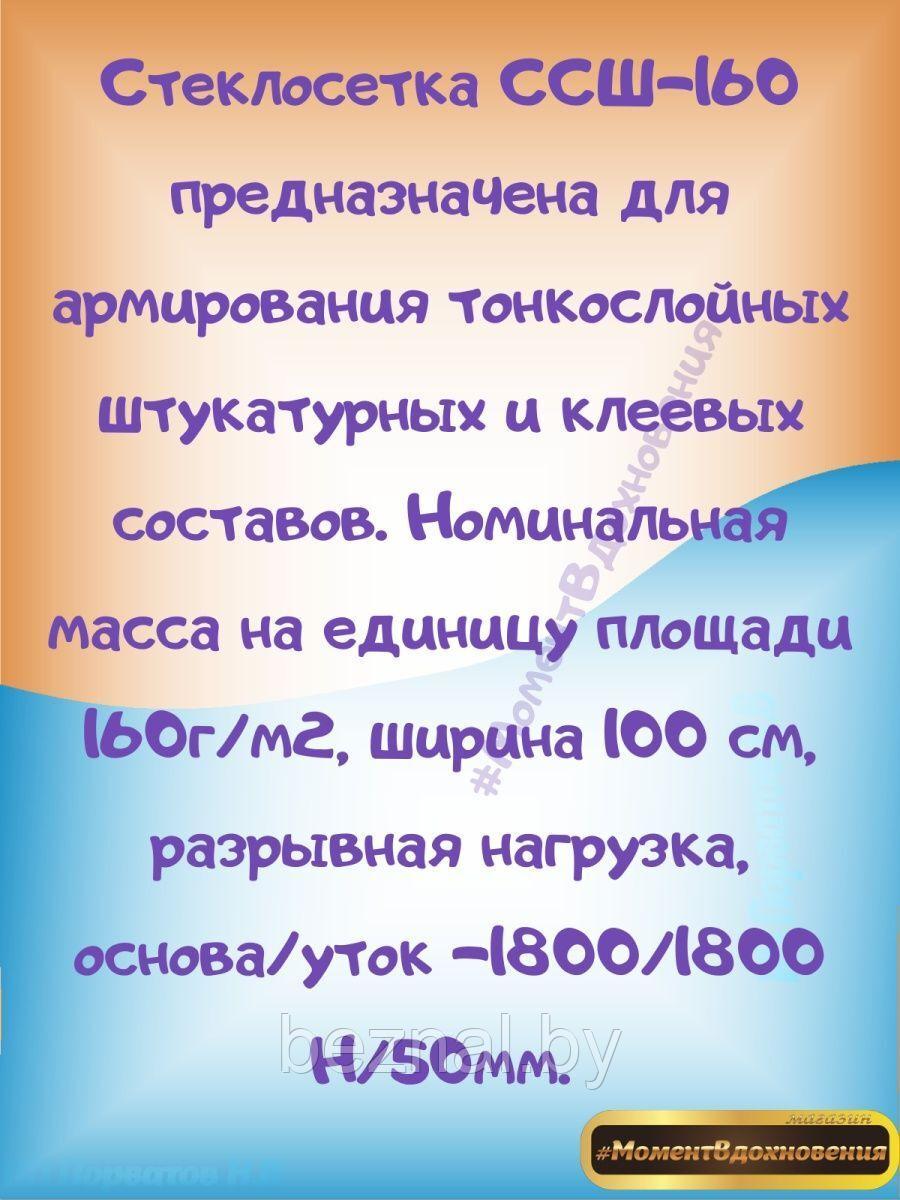 Стеклосетка ССШ-160(100) 1х20 м Новополоцк - фото 2 - id-p203014010