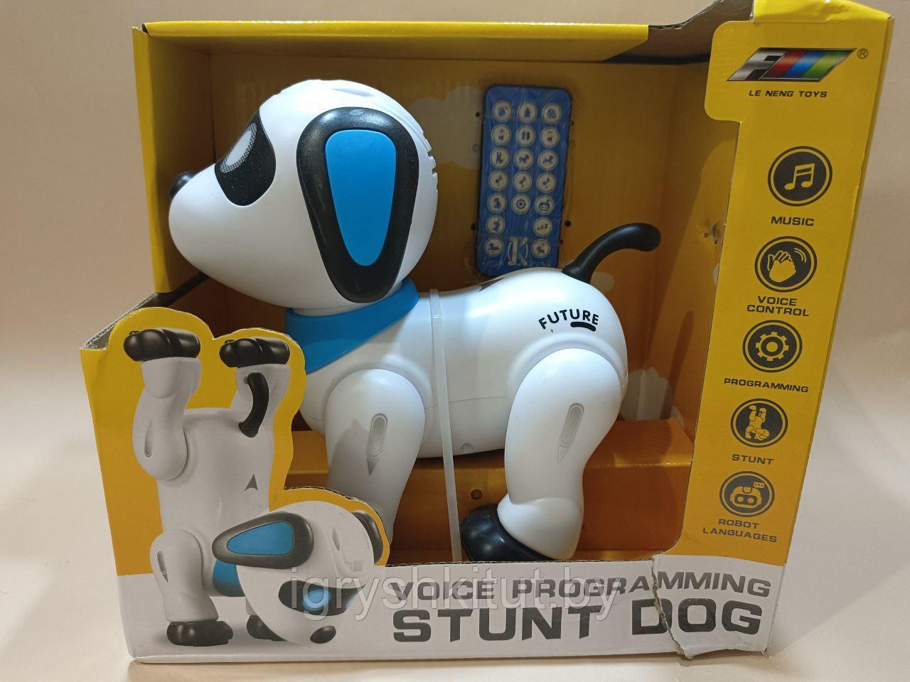 Робот-собака Акробат с пультом упарвления