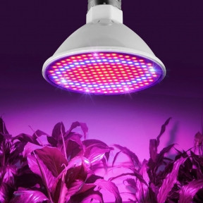 Светодиодная энергосберегающая фитолампа QRCP-00414, фиолетовый свет (цоколь Е27) 50 Вт, для поддержания роста - фото 1 - id-p203050610