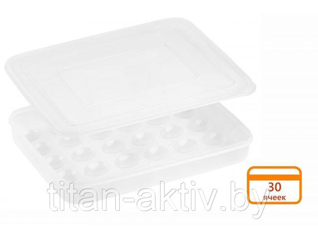 Контейнер для хранения яиц, 30 ячеек, прозрачный, PERFECTO LINEA - фото 1 - id-p195545327