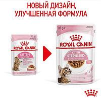 Влажный корм для котят Royal Canin Kitten Sterilized (соус)