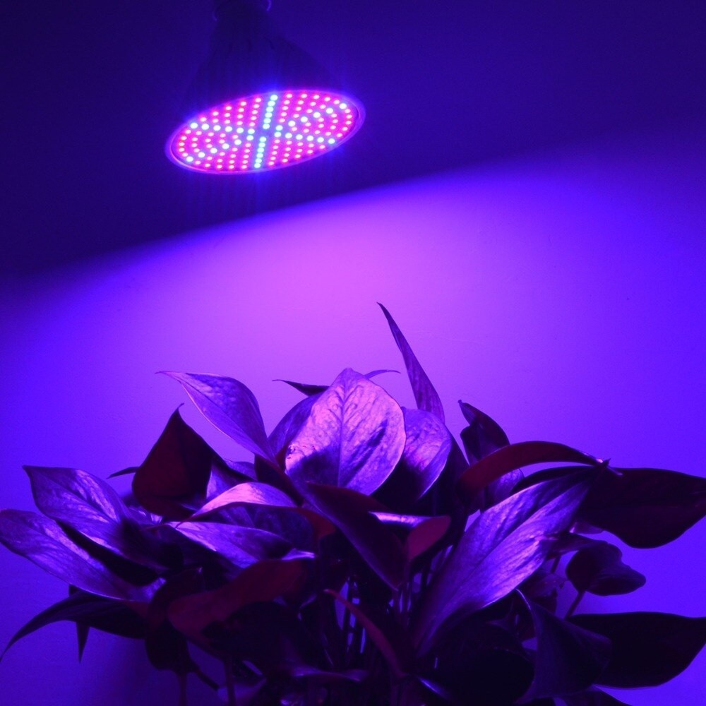 Светодиодная энергосберегающая фитолампа QRCP-00414, фиолетовый свет (цоколь Е27) 50 Вт, для поддержания роста - фото 2 - id-p203108329