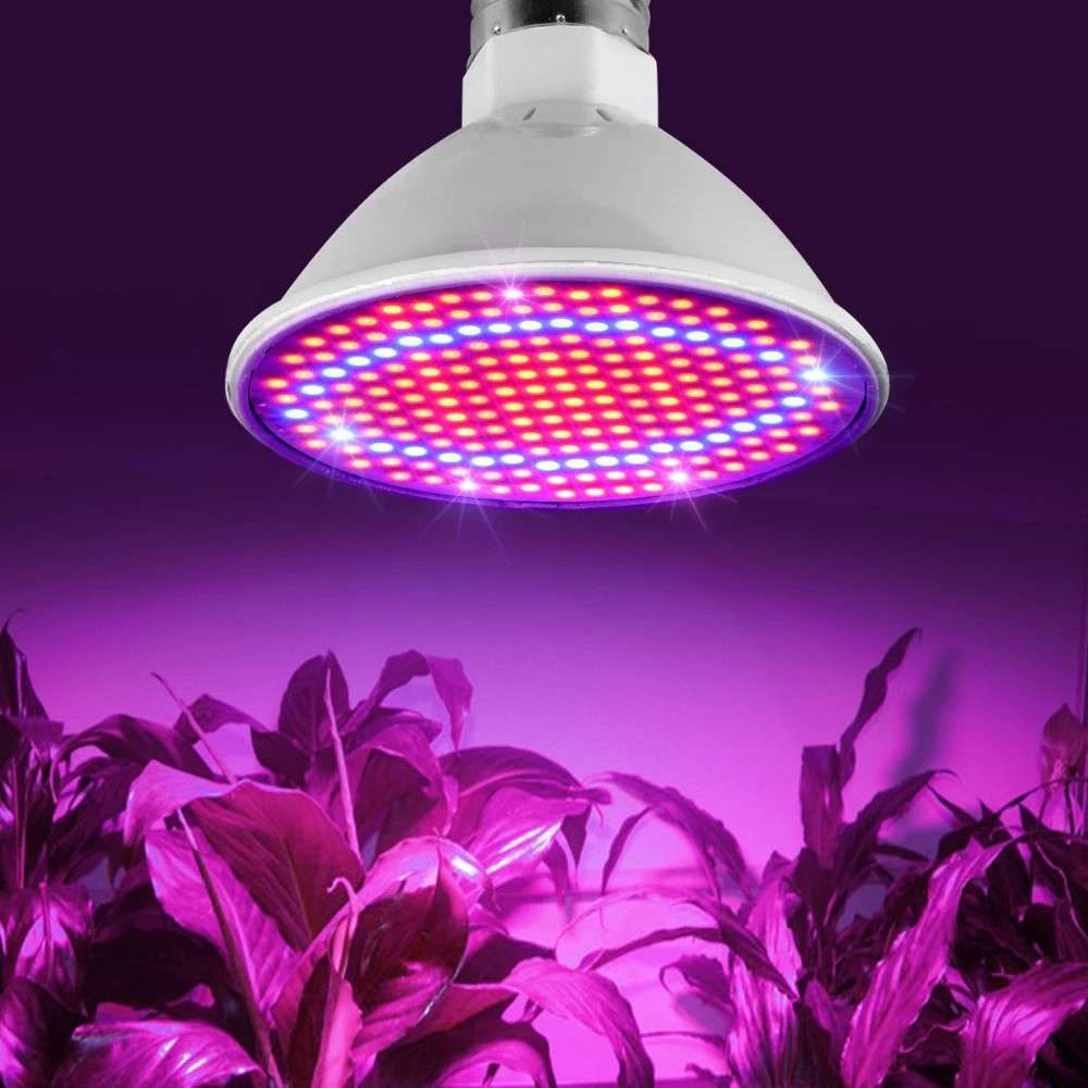 Светодиодная энергосберегающая фитолампа QRCP-00414, фиолетовый свет (цоколь Е27) 50 Вт, для поддержания роста - фото 2 - id-p203108671