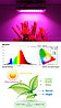 Фитопрожектор светодиодный Plant grow light 50 Вт, IP66, 220 В, 50 LED ламп, 19.50 х 9.50 см мультиспектральны, фото 7