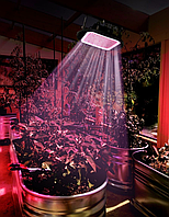 Фитопрожектор светодиодный Plant grow light 100 Вт, IP66, 220 В, 96 LED ламп, 23.5х13 см мультиспектральный дл