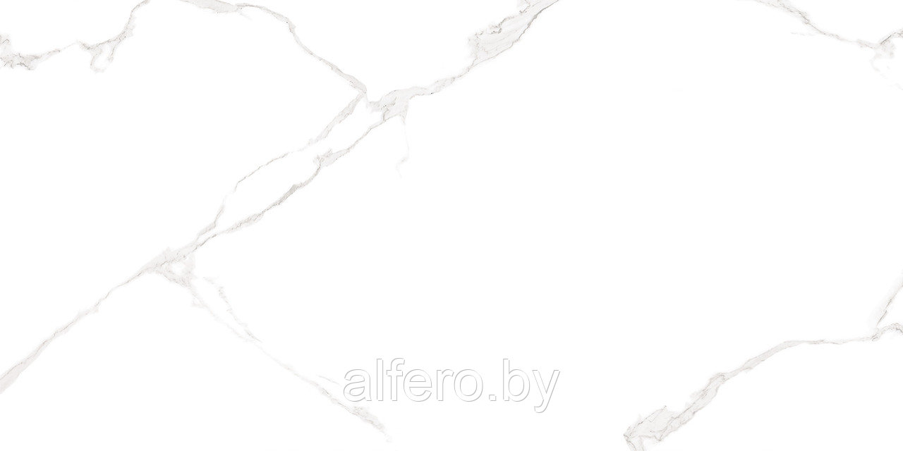 Керамическая плитка AltaCera Elemento Bianco Carrara WT9ELT00 250*500 - фото 1 - id-p202885842