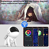 Проектор звёздного неба Space Dog Galaxy Star Projector, фото 7