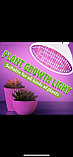 Светодиодная энергосберегающая фитолампа QRCP-00414, фиолетовый свет (цоколь Е27) 50 Вт, для поддержания роста, фото 4