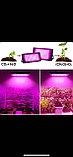 Фитопрожектор светодиодныйPlant grow light50 Вт, IP66, 220 В,50LEDламп,19.50 х 9.50сммультиспектральныйдля, фото 2