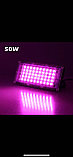 Фитопрожектор светодиодныйPlant grow light50 Вт, IP66, 220 В,50LEDламп,19.50 х 9.50сммультиспектральныйдля, фото 4