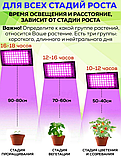 Фитопрожектор светодиодныйPlant grow light50 Вт, IP66, 220 В,50LEDламп,19.50 х 9.50сммультиспектральныйдля, фото 7