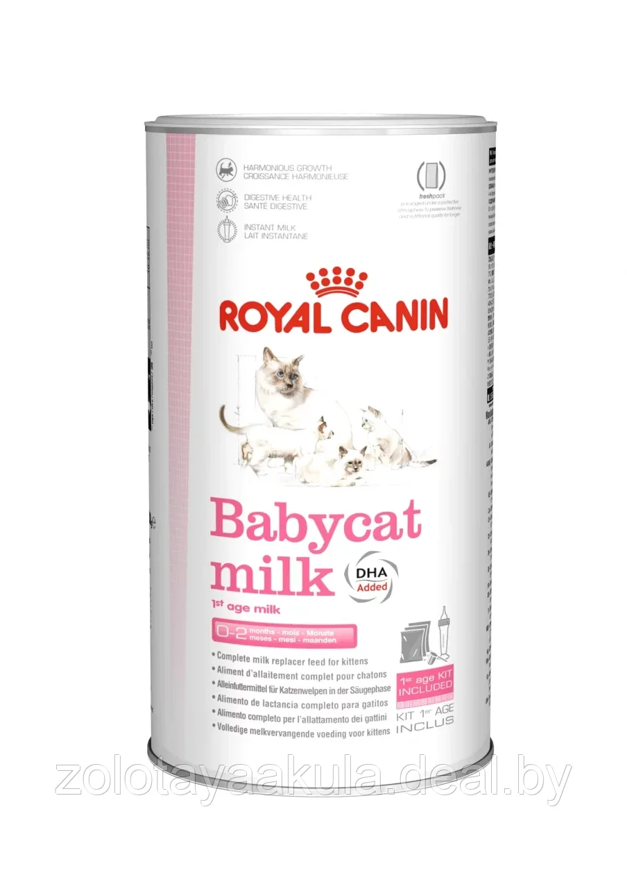 Заменитель молока ROYAL CANIN babycat Milk 0,3кг молоко для котят - фото 1 - id-p203142139