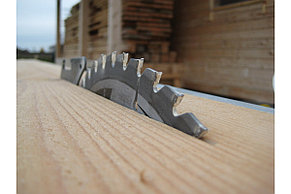 Распиловочный станок RTS1800EF-G RYOBI 5133002025, фото 2