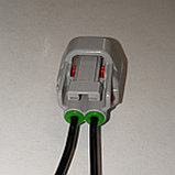 Фишка 2-pin лампы противотуманок, габаритов\трамблера Toyota, фото 2