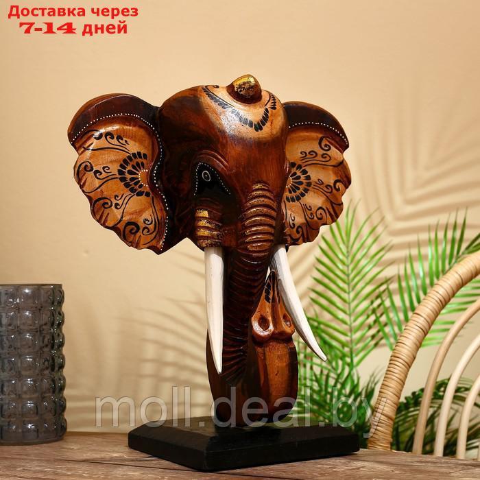 Сувенир "Голова слона" на подставке, албезия 45 см - фото 1 - id-p203112099