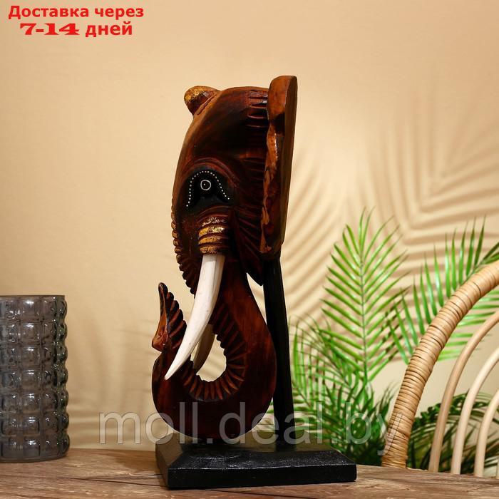 Сувенир "Голова слона" на подставке, албезия 45 см - фото 3 - id-p203112099