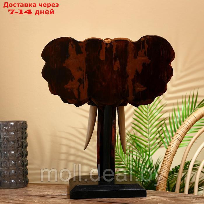 Сувенир "Голова слона" на подставке, албезия 45 см - фото 4 - id-p203112099