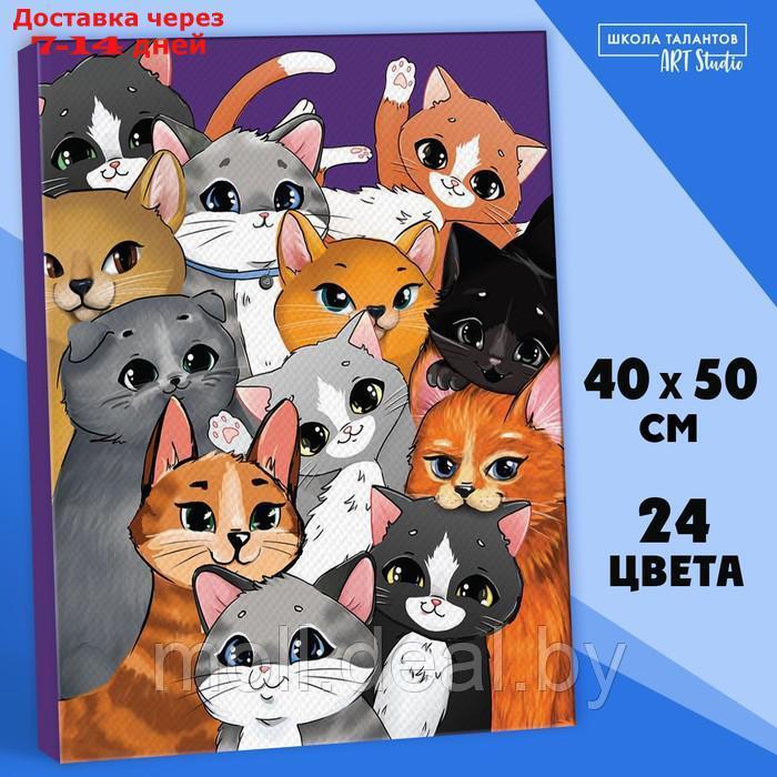 Картина по номерам на холсте с подрамником "Множество котиков" 40*50 см