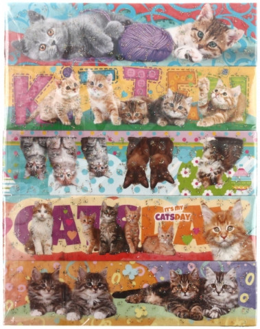Закладки магнитные для книг ArtSpace 10 шт., 25*200 мм, «Котята» - фото 3 - id-p203151280