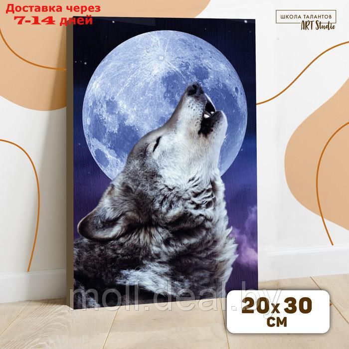 Картина по номерам на холсте с подрамником "Одинокий волк" 20*30 см