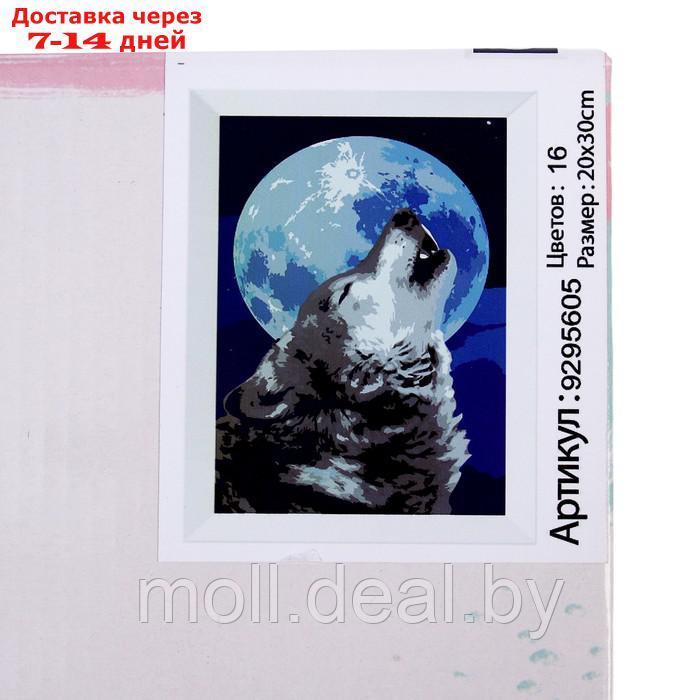 Картина по номерам на холсте с подрамником "Одинокий волк" 20*30 см - фото 6 - id-p203114265