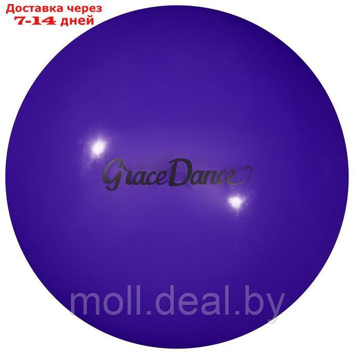 Мяч для художественной гимнастики Grace Dance 18,5 см, 400 гр, цвет фиолетовый - фото 1 - id-p203111266