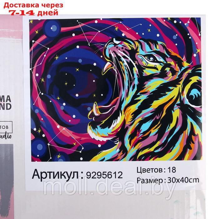 Картина по номерам на холсте с подрамником "Космический тигр" 30*40 см - фото 6 - id-p203114289