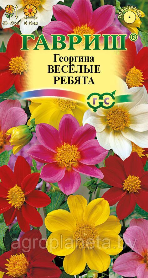 Георгина ВЕСЕЛЫЕ РЕБЯТА, 0.3 г: семена, семена овощных культур ...