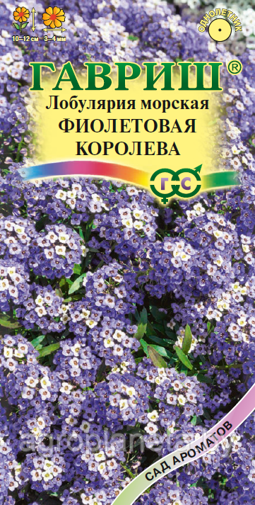 Лобулярия ФИОЛЕТОВАЯ КОРОЛЕВА, 0,05 г