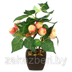 Декоративное дерево "Райское яблочко" h26см в горшке 7,5х7,5см h6,5см (Китай)