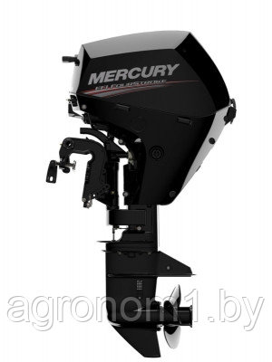 Лодочный мотор Mercury F 20 ELPT - фото 1 - id-p203206440