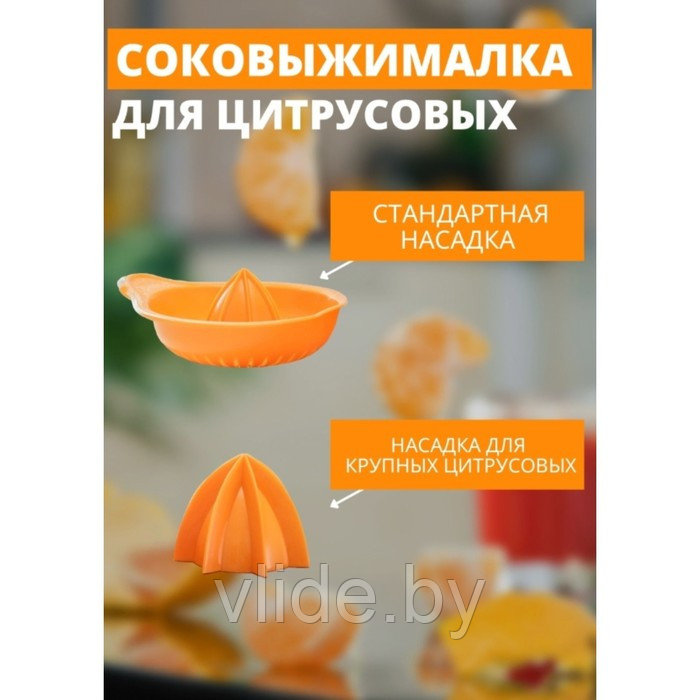 Соковыжималка для цитрусовых «Мадена», 300 мл, цвет МИКС - фото 2 - id-p203210010