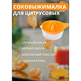 Соковыжималка для цитрусовых «Мадена», 300 мл, цвет МИКС, фото 3