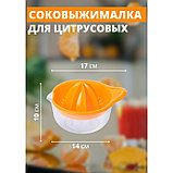 Соковыжималка для цитрусовых «Мадена», 300 мл, цвет МИКС, фото 4