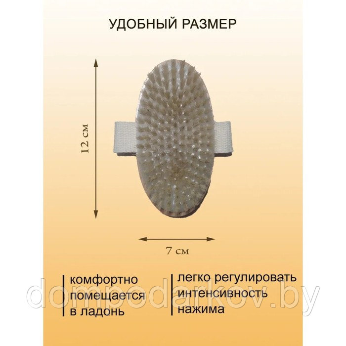 Щётка массажная для тела Доляна, натуральная щетина - фото 3 - id-p203210643