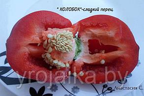 Перец красноплодный Колобок (Рассада), фото 2