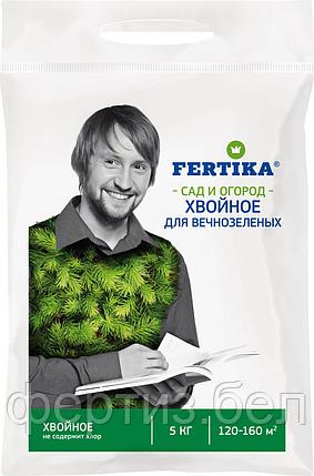 Фертика хвойное для вечнозеленых и голубики. Весна–Лето, 5 кг, фото 2