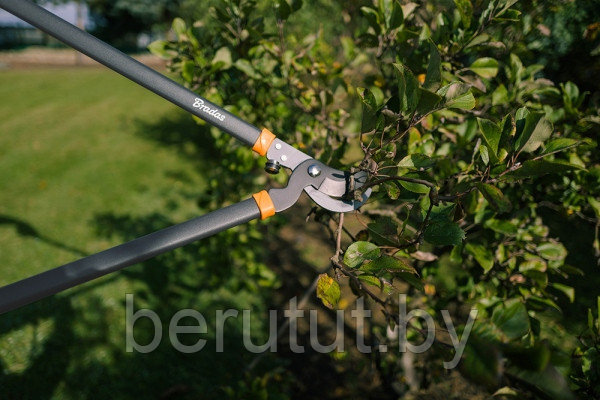 Сучкорез садовый алюминиевый двуручный V-Series , Bradas - фото 3 - id-p203249961