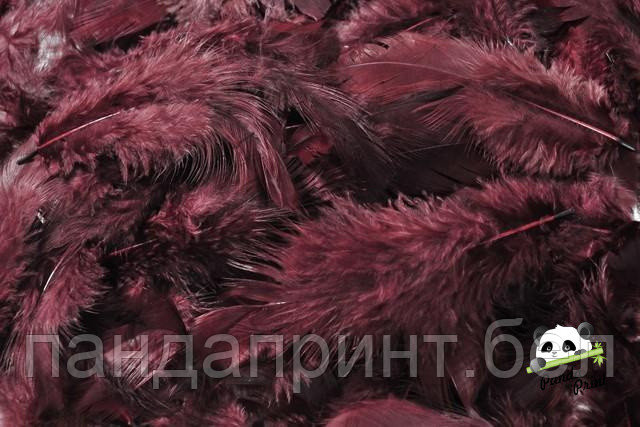 Перья декоративные бургунд, 20 шт