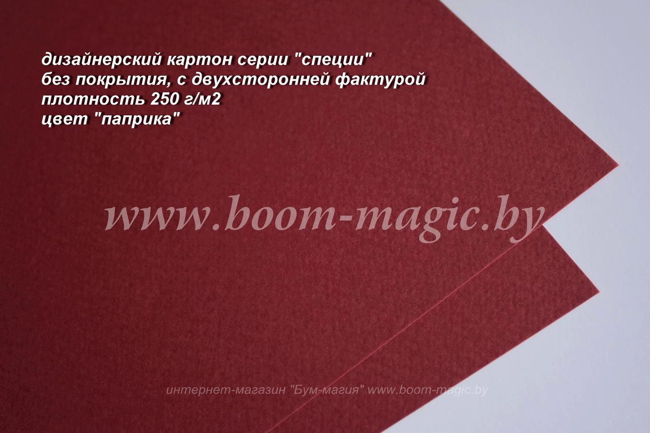 БФ! 22-007 картон фактурный, серия "специи", цвет "паприка", плот. 250 г/м2, формат 72*101 см - фото 1 - id-p172476747