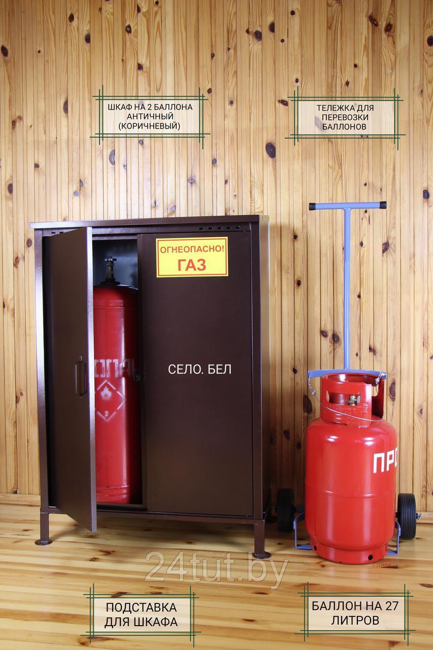 Шкаф для газовых баллонов (античный, 2х50 л.)