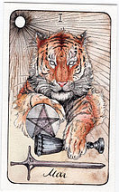 Дикое темное таро / The Wild Dark Tarot. 78 карт и инструкция, фото 2