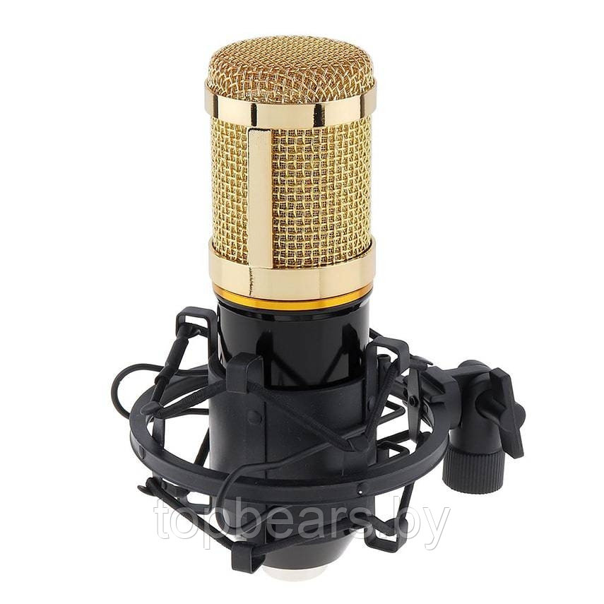 Студийный микрофон для домашней звукозаписи, караоке, стриминга и блогинга BM-800 в комплекте с микшерным - фото 3 - id-p179794815