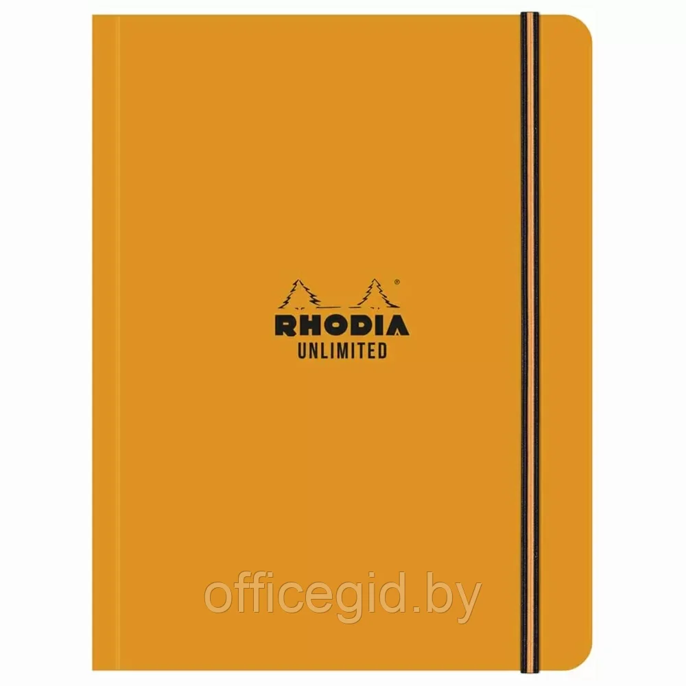Блокнот "Rhodia Unlimited", А5+, 60 листов, клетка, оранжевый - фото 1 - id-p203423728