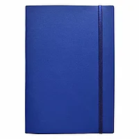 Ежедневник недатированный "Clear", А5, 192 страницы, синий